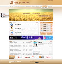 設(shè)計案例 沈陽網(wǎng)站設(shè)計,易勢為您量身打造